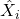 \hat{X}_i