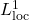 L^1_{\mathrm{loc}}