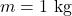 m=1\ \mathrm{kg}