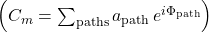 \left(C_m=\sum_{\mathrm{paths}}a_{\mathrm{path}} \,e^{i\Phi_{\mathrm{path}}}\right)