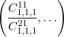 \[\left( \frac{C_{1,1,1}^{11}}{C_{1,1,1}^{21}}, \ldots \right)\]