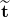 \widetilde{\mathbf{t}}