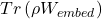 Tr\left( \rho W_{embed} \right)