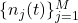 \{n_j(t)\}_{j=1}^{M}