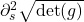\partial_s^2\sqrt{\det(g)}