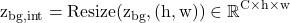 \begin{equation*}\mathrm{z_{bg,int}= Resize(z_{bg}, (h,w)) \in \mathbb{R}^{C\times h \times w}}\end{equation*}