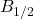 B_{1/2}