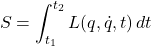 \[S = \int_{t_1}^{t_2} L(q,\dot{q},t)\,dt\]