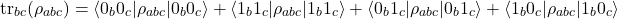 \begin{equation*}{\footnotesize\operatorname{tr}_{bc}(\rho_{abc}) = \langle 0_b 0_c | \rho_{abc} | 0_b 0_c \rangle + \langle 1_b 1_c | \rho_{abc} | 1_b 1_c \rangle + \langle 0_b 1_c | \rho_{abc} | 0_b 1_c \rangle + \langle 1_b 0_c | \rho_{abc} | 1_b 0_c \rangle }\end{equation*}