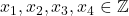 x_1, x_2, x_3, x_4 \in \mathbb{Z}