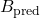 B_{\text{pred}}
