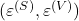 (\varepsilon^{(S)}, \varepsilon^{(V)})