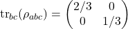 \begin{equation*} \operatorname{tr}_{bc}(\rho_{abc}) =  \begin{pmatrix} 2/3 & 0 \\ 0 & 1/3 \end{pmatrix} \end{equation*}