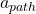 a_{path}