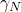 \gamma_N