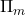 \Pi_{m}