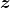 \boldsymbol{z}