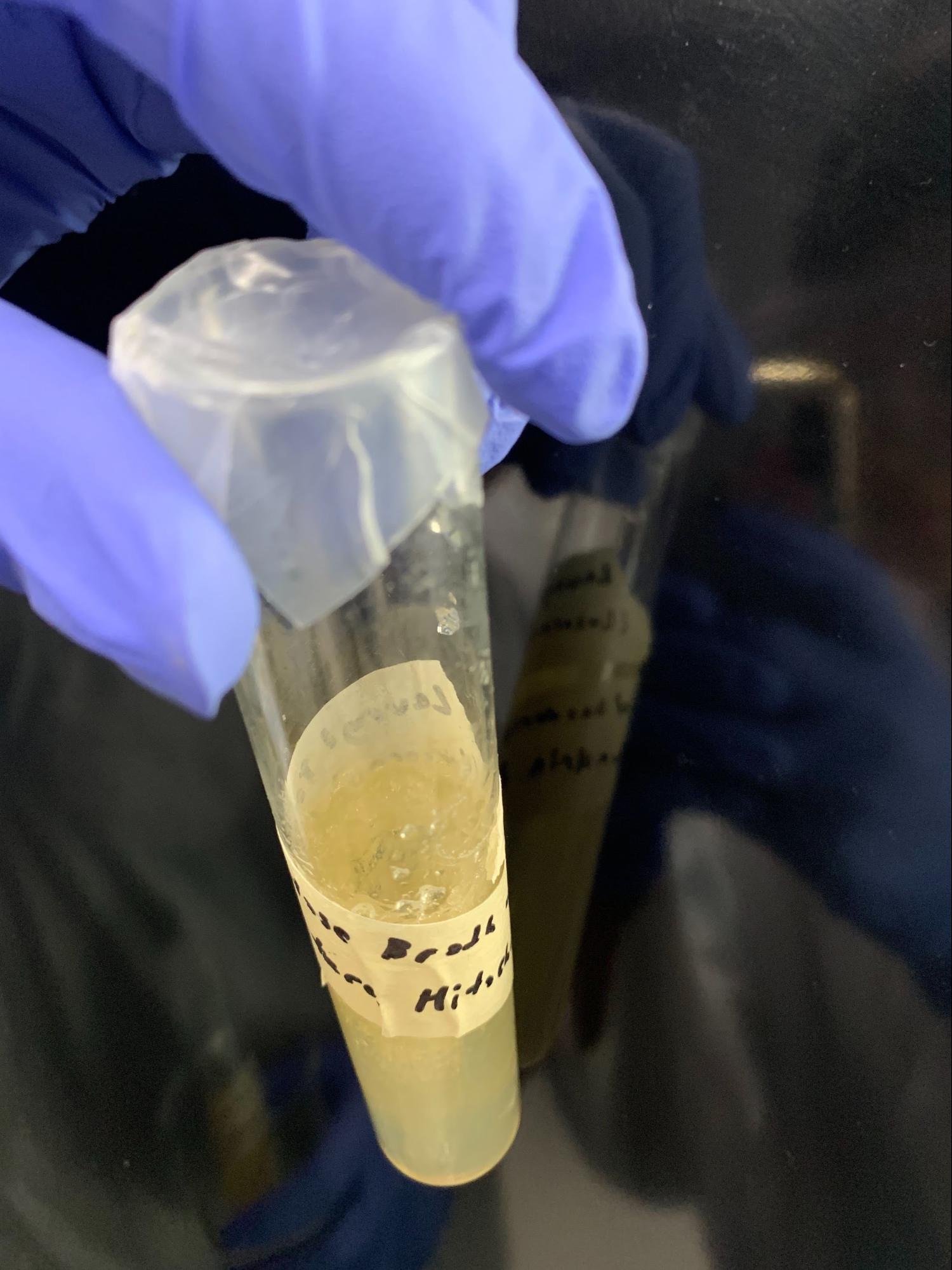 Milk Sample Testing Analysis of Packaged Milk Quality Using Coliforms as Indicators - NHSJS