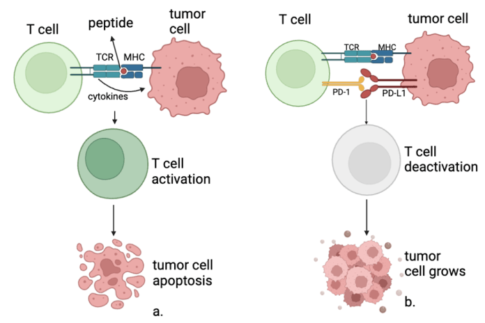 PD-L1/PD-1 Expression in Non-Small Cell Lung Cancer ...