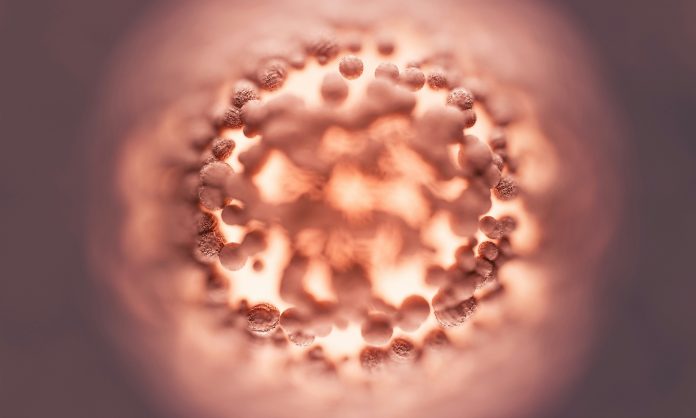 marek-piwnicki-a0MlVzTHIY8-unsplash
