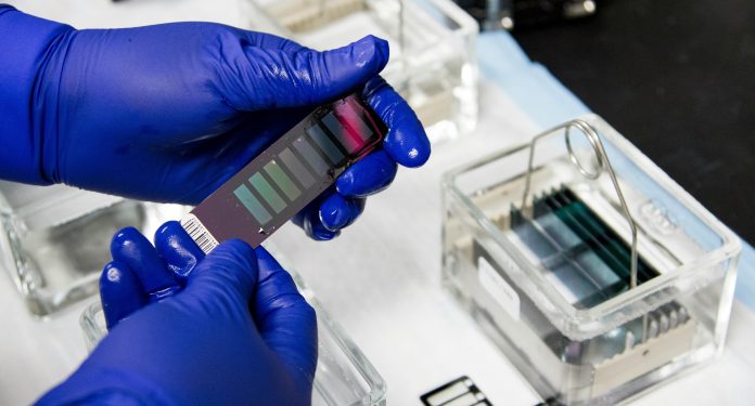 national-cancer-institute-W6yy0wYV-hk-unsplash