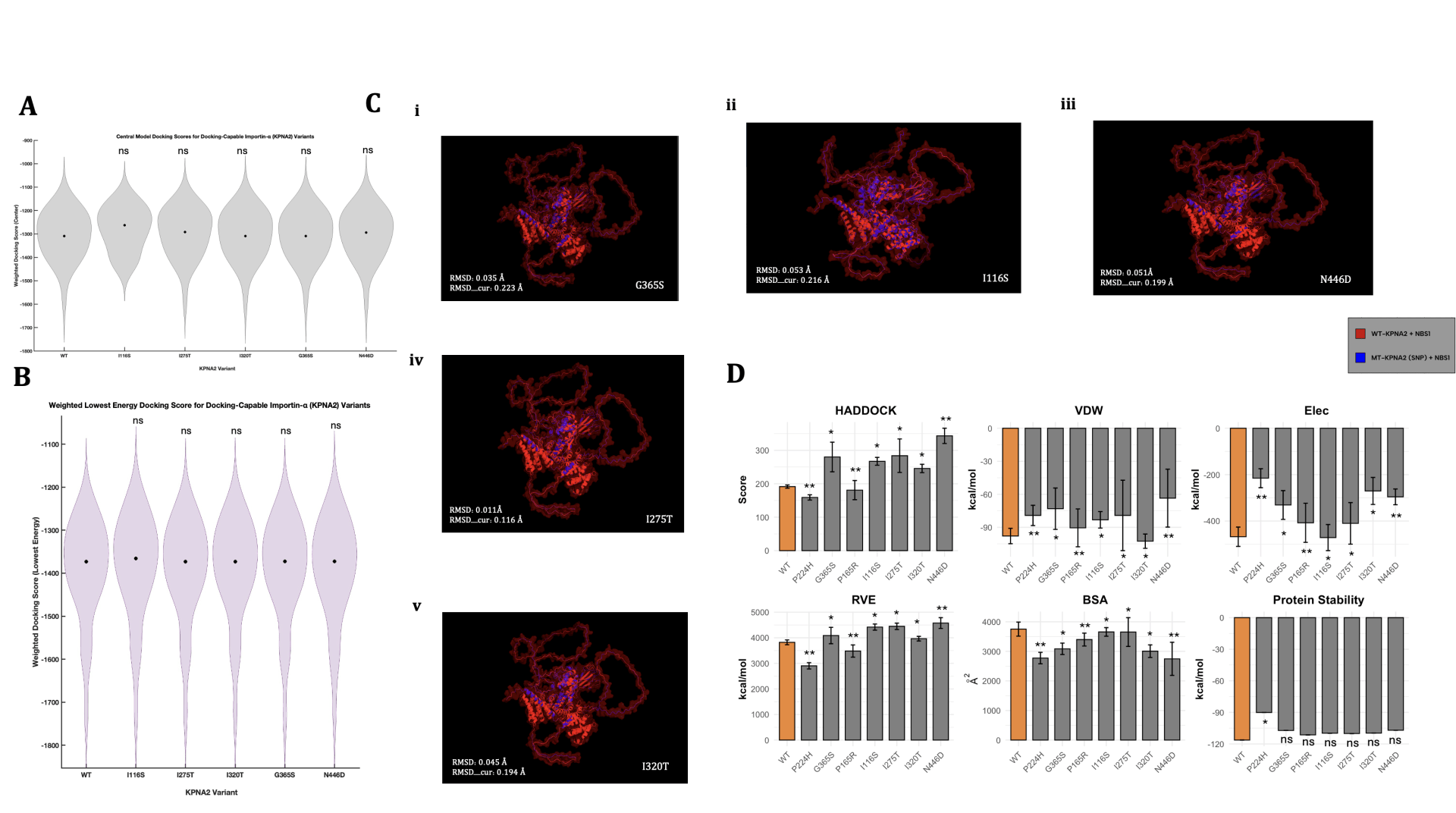 Structural and Functional Disruption of KPNA2 Cargo Binding by ...