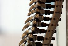 The Relationship between Demographic Information and Spinal Issues