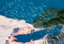 Applications of Swarm Robotics in Protecting Aquatic Environments