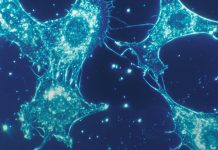 RMST-Based Method to Adjust Crossover in Oncology Clinical Trials