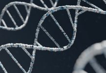 An Algorithm for Detection of Palindrome DNA