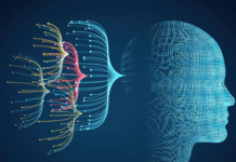Structured Communication in Cetaceans: Comparing Information Entropy and Stochastic Process Models to Human Language