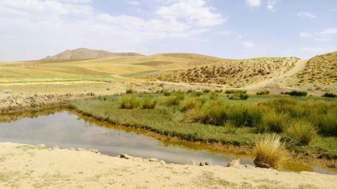 haniyeh-roustaee-h0_sPOPQekI-unsplash