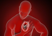 ML-Based Survival Prediction in Heart Failure: A Focus on Ejection Fraction and Creatinine