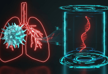 Circulating Tumor DNA for Early Lung Cancer Detection: Advances, Validation, and Future Directions