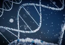 Mitochondrial DNA Variants and Epigenetic Modifications in Non-BRCA Hereditary Breast Cancer: Influence on Risk, Progression, and Prognosis