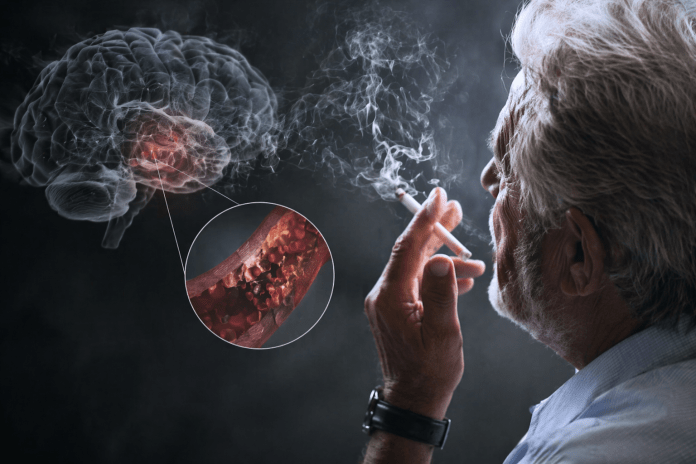 Image Apr 6, 2026, 02_26_04 PM