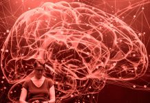 Effects of Music on Emotional Processing and Memory Function in the Human Brain: A Narrative Review