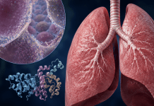 Evolutionary and Structural Conservation of Pulmonary Surfactant Proteins: Implications for Lung Resilience
