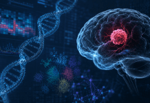 The Role of TERT in Glioma: A Multi-Omics Approach Through Bioinformatics Analysis