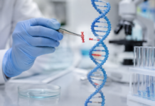 CRISPR’s Role in the Treatment of Genetic Disorders