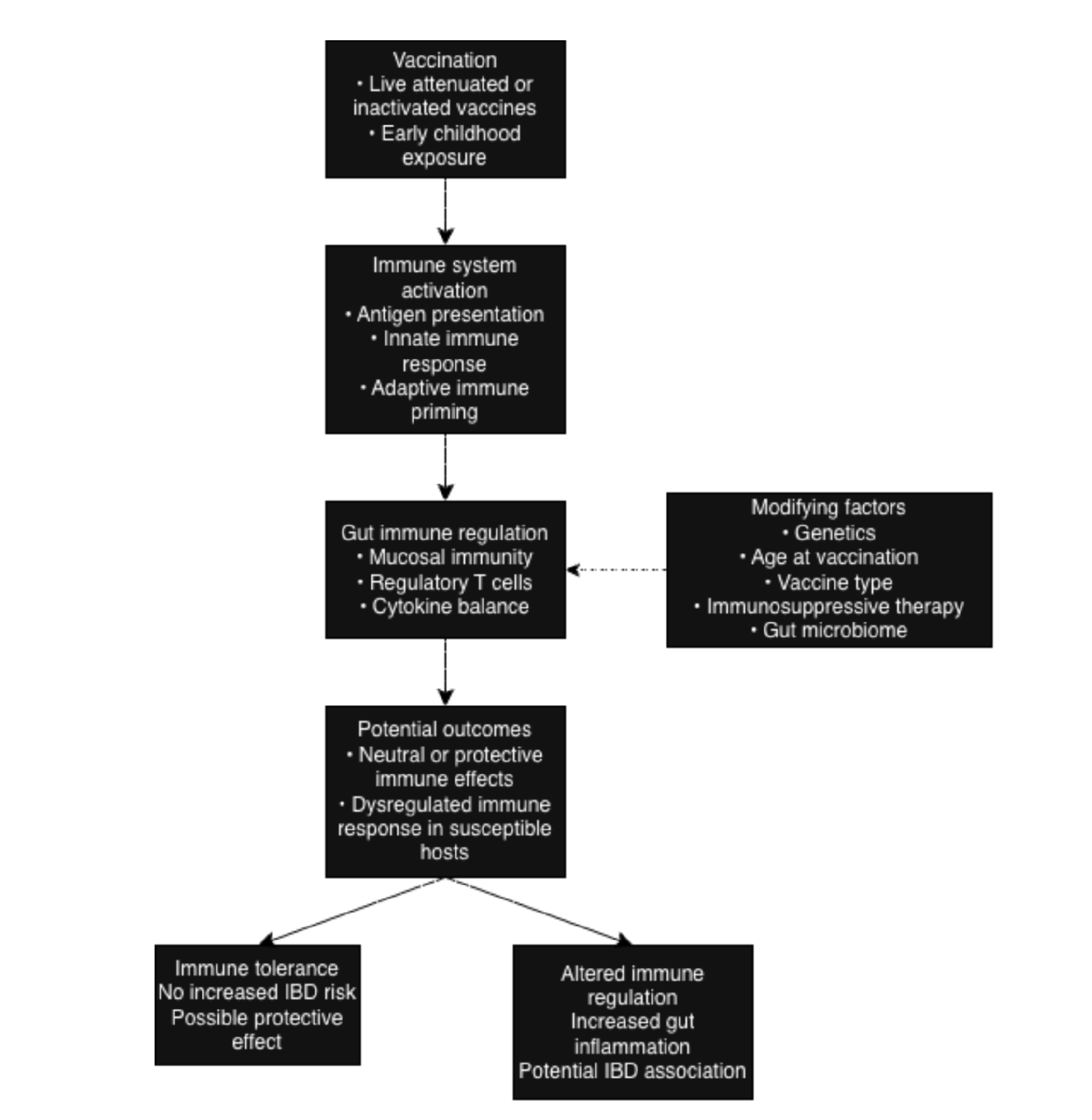 Flowchart of a proposed conceptual model linking vaccination to gut immune regulation