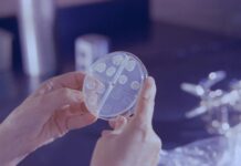 The Financial Barriers of Stem Cell-Based Therapies: A Policy Review of Cost, Access, and Reform