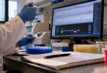 Impacts of Mutations On The TP53 Gene In The Cell Cycle And Cancer Development: A Literature Review
